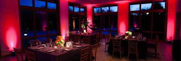 LED Color Change Uplighting red uplighting at wedding dinner event